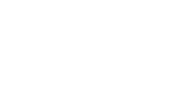 골드넷 logo